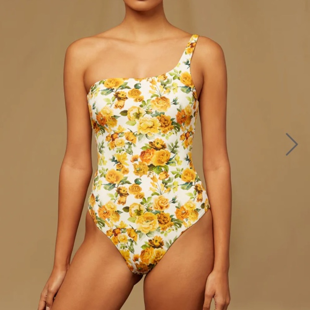 Onia WREN One Piece Swimsuit